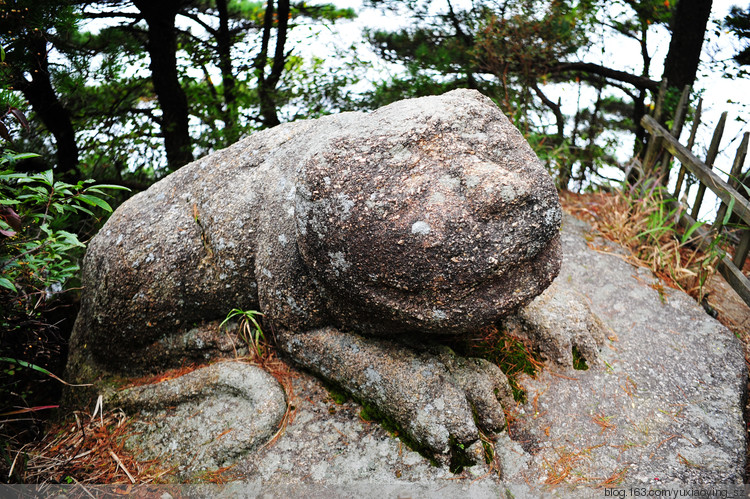 【忘记带宝宝的长假旅行】三清山景色，可与黄山媲美 - 小鱼滋味 - 小鱼滋味