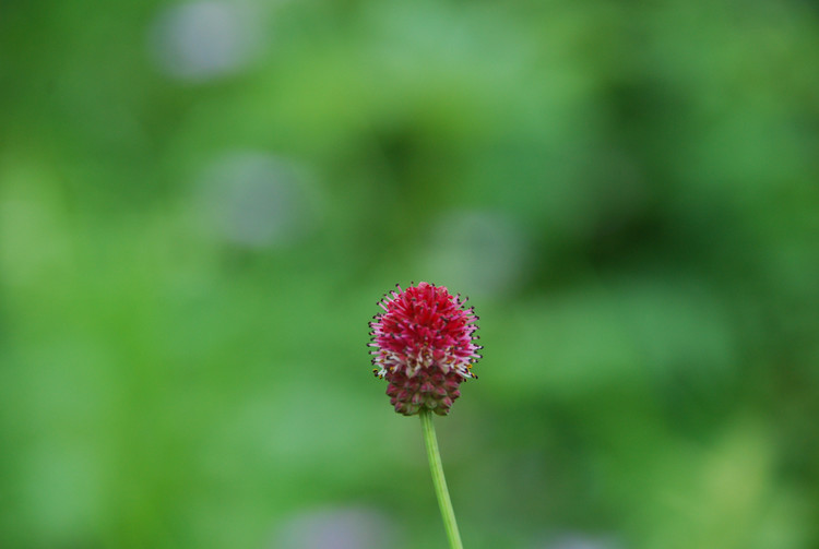 奥运万里拉风行（D12 游在真正的大草原之兴安敖包-阿尔山-海拉尔） - 小鱼滋味 - 小鱼滋味