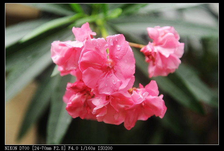 2011年05月23日 - 小鱼滋味 - 小鱼滋味