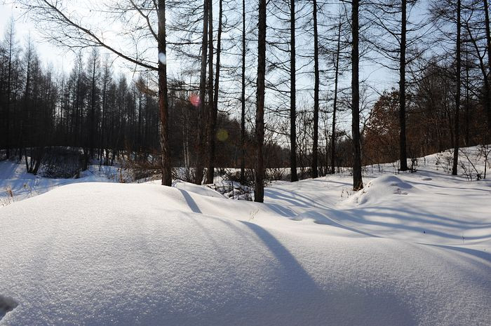 2011，兔年春节--之六 雪中漫游 - 小鱼滋味 - 小鱼滋味