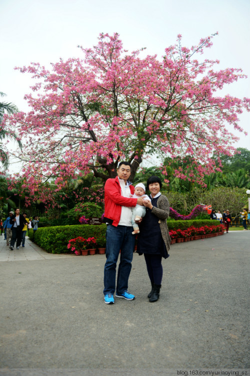 【周末时光】 莲花山公园 - 小鱼滋味 - 小鱼滋味