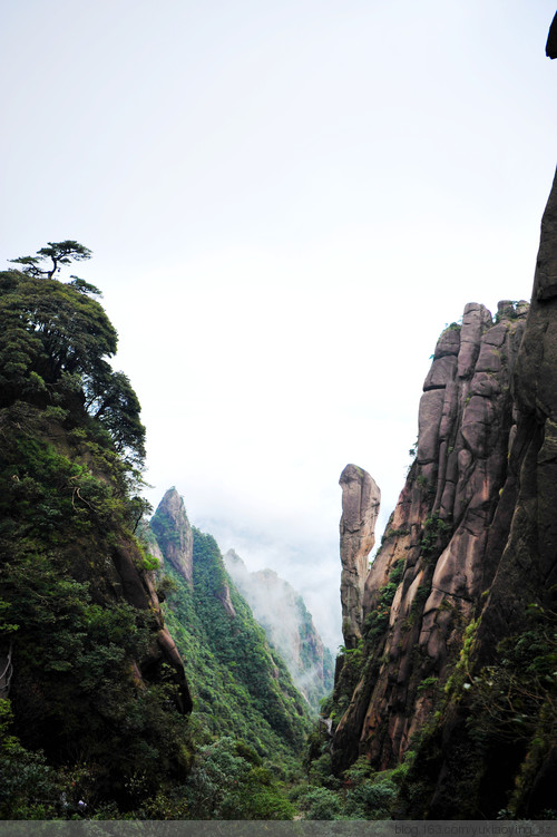 【忘记带宝宝的长假旅行】三清山景色，可与黄山媲美 - 小鱼滋味 - 小鱼滋味