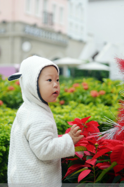 圣诞节前的小小鸡蛋妹 - 小鱼滋味 - 小鱼滋味