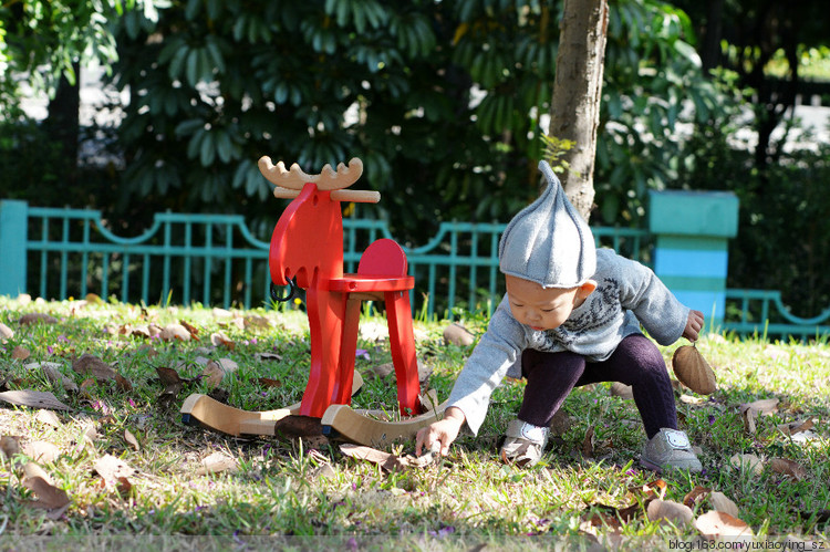 2015年11月29日 - 小鱼滋味 - 小鱼滋味