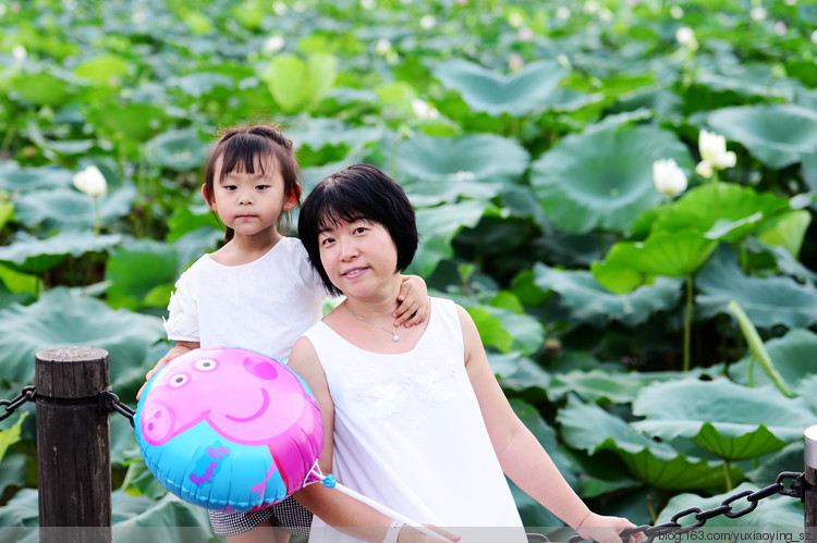 【深圳 · 洪湖公园】 花拆，蓦然夏中 - 小鱼滋味 - 小鱼滋味