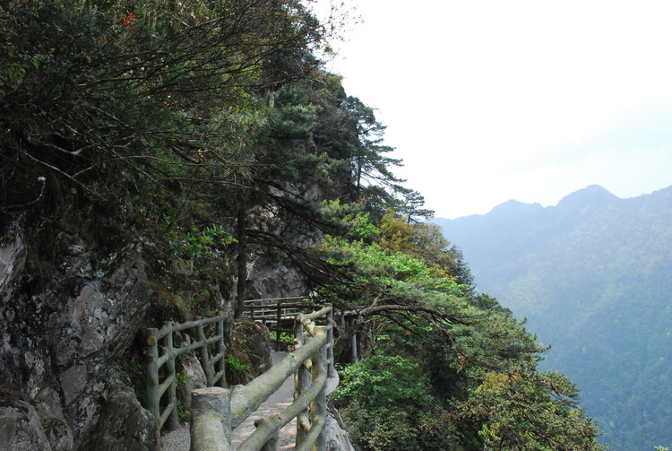 红色井冈山 - 小鱼滋味 - 小鱼滋味