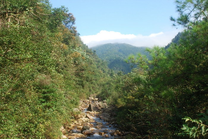 姑婆山 - 小鱼滋味 - 小鱼滋味