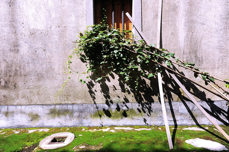 2011年07月02日 - 小鱼滋味 - 小鱼滋味 2011年07月02日 - 小鱼滋味 - 小鱼滋味