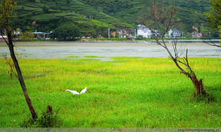 【一路向西去大理】 苍洱美景在挖色，无尽浪漫 - 小鱼滋味 - 小鱼滋味