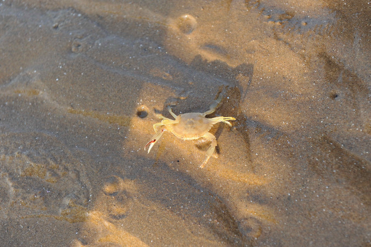 2009，印象河北（之六  老龙头 山海关 鸽子窝 北戴河） - 小鱼滋味 - 小鱼滋味