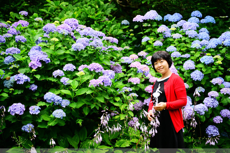 【走进加拿大的冰冻の 夏】 夏日的清凉与芬芳，尽在温哥华 - 小鱼滋味 - 小鱼滋味