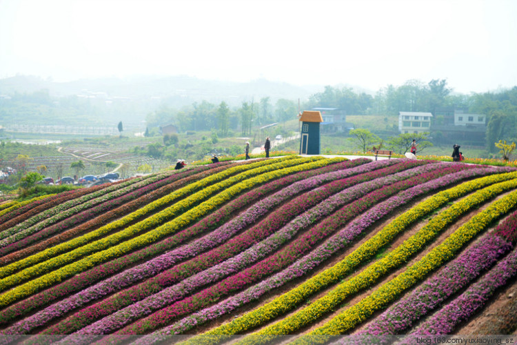 【小衣襟的第一次旅行】 重庆古路镇盛世花都  磁器口古码头 - 小鱼滋味 - 小鱼滋味