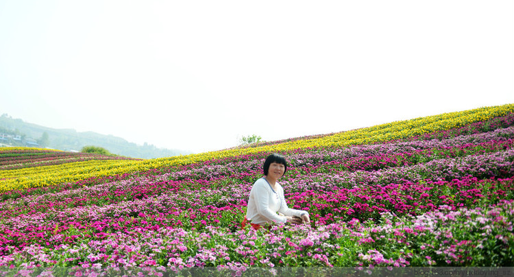 【小衣襟的第一次旅行】 重庆古路镇盛世花都  磁器口古码头 - 小鱼滋味 - 小鱼滋味