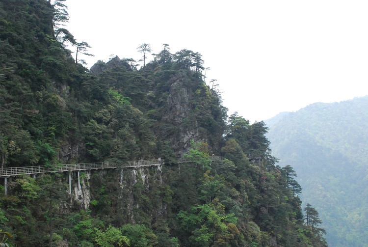 红色井冈山 - 小鱼滋味 - 小鱼滋味