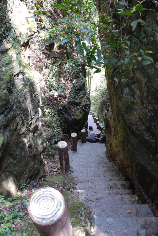 红色井冈山 - 小鱼滋味 - 小鱼滋味