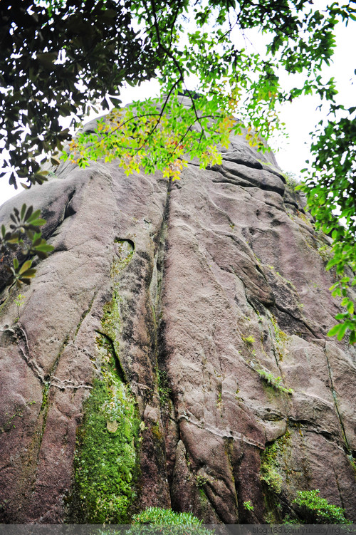 【忘记带宝宝的长假旅行】三清山景色，可与黄山媲美 - 小鱼滋味 - 小鱼滋味