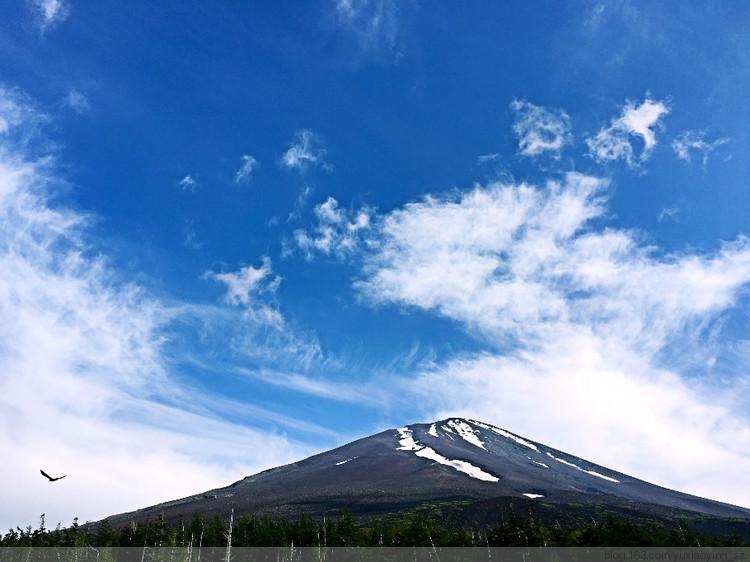 【烟波浩淼之瀛洲】逛奥特莱斯，山中湖喂鱼，游忍野八海，抵富士山五合目，宿河口湖班乡间别墅酒店 - 小鱼滋味 - 小鱼滋味