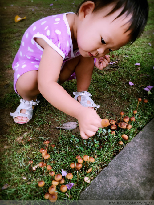 雨后,草地上的蘑菇和小女孩 - 小鱼滋味 - 小鱼滋味 雨后,草地上的蘑菇和小女孩 - 小鱼滋味 - 小鱼滋味