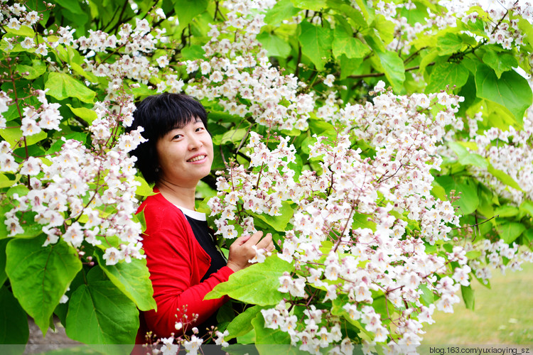 【走进加拿大的冰冻の 夏】 夏日的清凉与芬芳，尽在温哥华 - 小鱼滋味 - 小鱼滋味