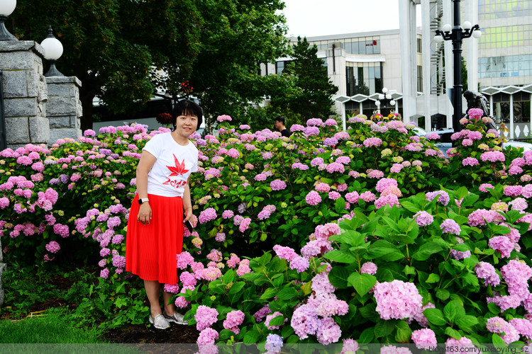 【走进加拿大的冰冻の 夏】 维多利亚一日游，不需此行 - 小鱼滋味 - 小鱼滋味