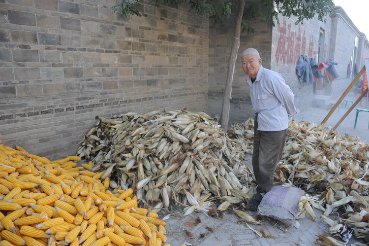 2009，印象河北（之三 直隶总督府、大慈阁、冉庄） - 小鱼滋味 - 小鱼滋味