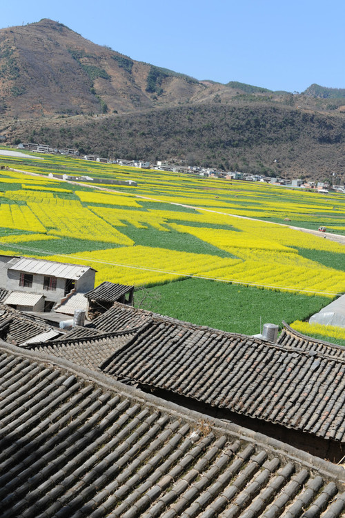 【云南春梦】 元谋土林 - 东川红土地 - 小鱼滋味 - 小鱼滋味