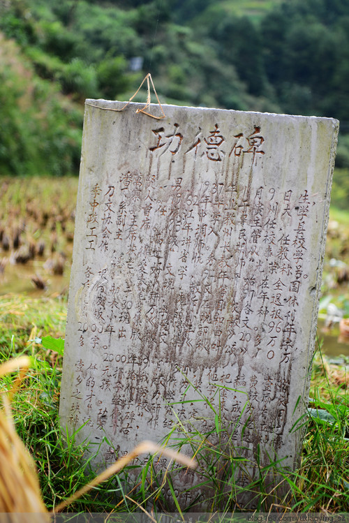 【三入贵州】 加榜梯田的金色黎明，季刀苗寨的安静岁月 - 小鱼滋味 - 小鱼滋味