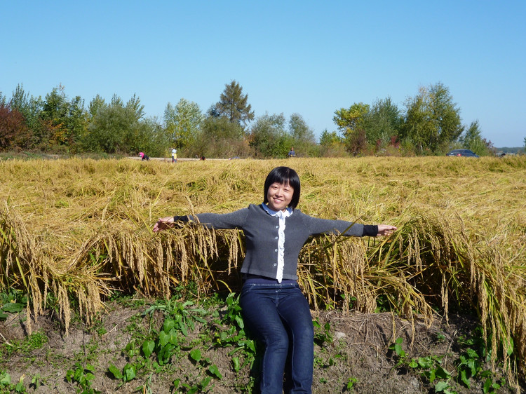 【2011，家乡的秋】 水稻丰收了 - 小鱼滋味 - 小鱼滋味