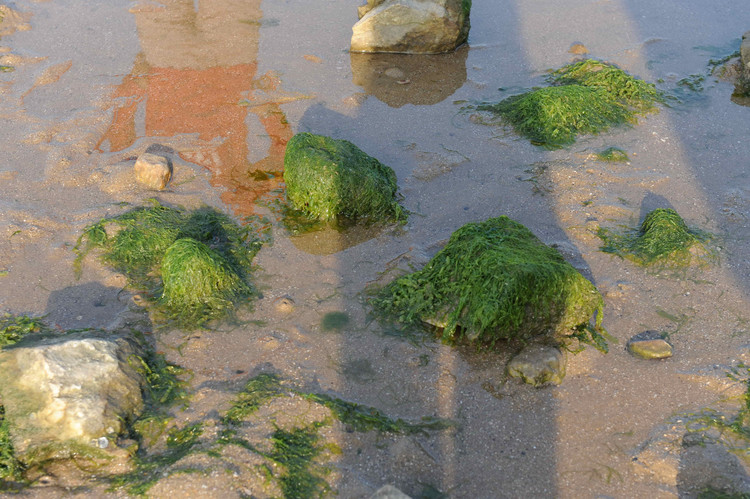 2009，印象河北（之六  老龙头 山海关 鸽子窝 北戴河） - 小鱼滋味 - 小鱼滋味