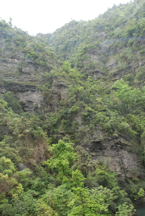 红色井冈山 - 小鱼滋味 - 小鱼滋味