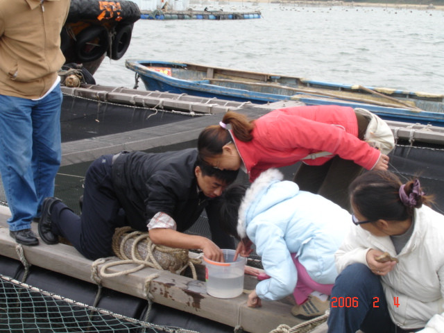 【2006春节广西行】之六 南宁--阳江--深圳,在闸坡做海上渔民 - 小鱼滋味 - 小鱼滋味 【2006春节广西行】之六 南宁--阳江--深圳,在闸坡做海上渔民 - 小鱼滋味 - 小鱼滋味