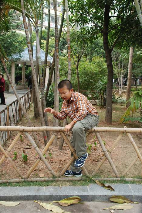 小宽在长大（之七 四年级小学生） - 小鱼滋味 - 小鱼滋味