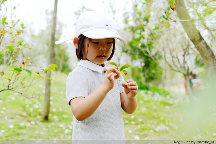 【深圳 · 中心公园】 春天里，百花香 - 小鱼滋味 - 小鱼滋味