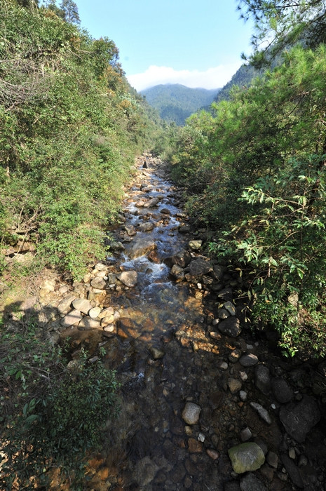 姑婆山 - 小鱼滋味 - 小鱼滋味