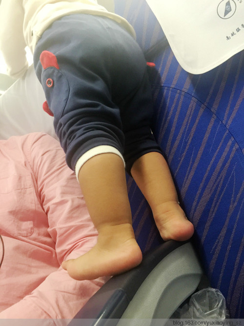 【七年之后,再见你】飞抵墨尔本 - 小鱼滋味 - 小鱼滋味 【七年之后,再见你】飞抵墨尔本 - 小鱼滋味 - 小鱼滋味