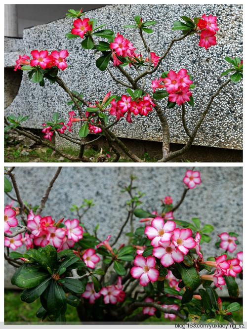 【带着宝宝去旅行】 台湾 · 东海岸 - 小鱼滋味 - 小鱼滋味