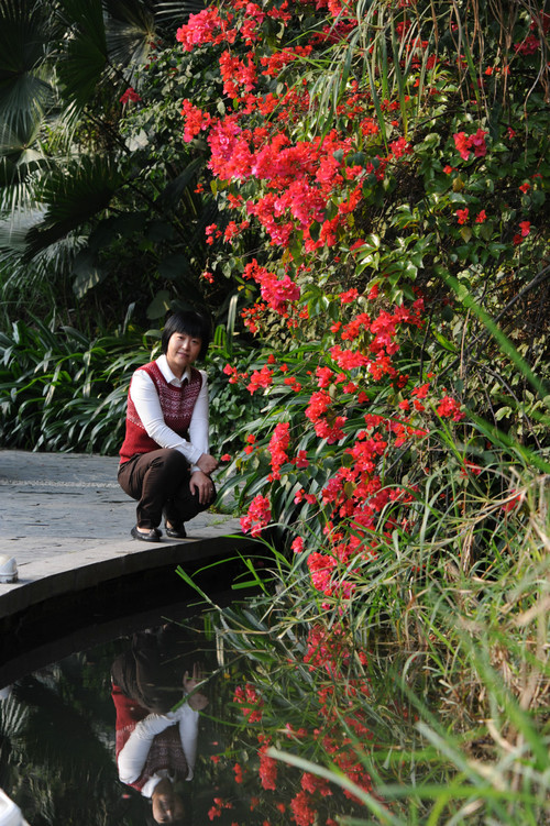 【2012，春之舞】 市花最灿烂 - 小鱼滋味 - 小鱼滋味