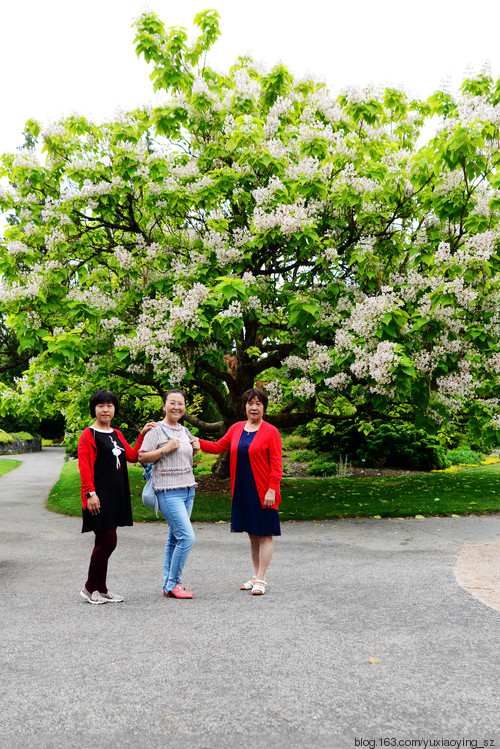 【走进加拿大的冰冻の 夏】 夏日的清凉与芬芳，尽在温哥华 - 小鱼滋味 - 小鱼滋味