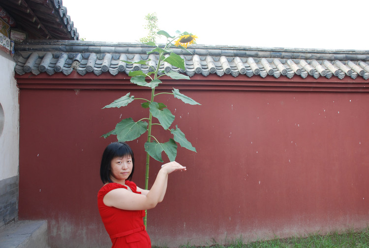 奥运万里拉风行(D3 参加开封式婚礼-游大相国寺与天波杨府) - 小鱼滋味 - 小鱼滋味 奥运万里拉风行(D3 参加开封式婚礼-游大相国寺与天波杨府) - 小鱼滋味 - 小鱼滋味