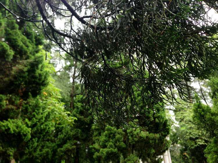 广州 · 黄花岗七十二烈士墓园 - 小鱼滋味 - 小鱼滋味 广州 · 黄花岗七十二烈士墓园 - 小鱼滋味 - 小鱼滋味