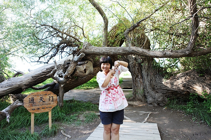 在那遥远的地方（之十 库车老城－库车王府－大清真寺－天山神木园－阿克苏） - 小鱼滋味 - 小鱼滋味