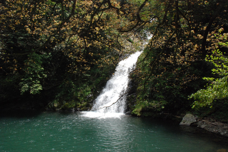 红色井冈山 - 小鱼滋味 - 小鱼滋味