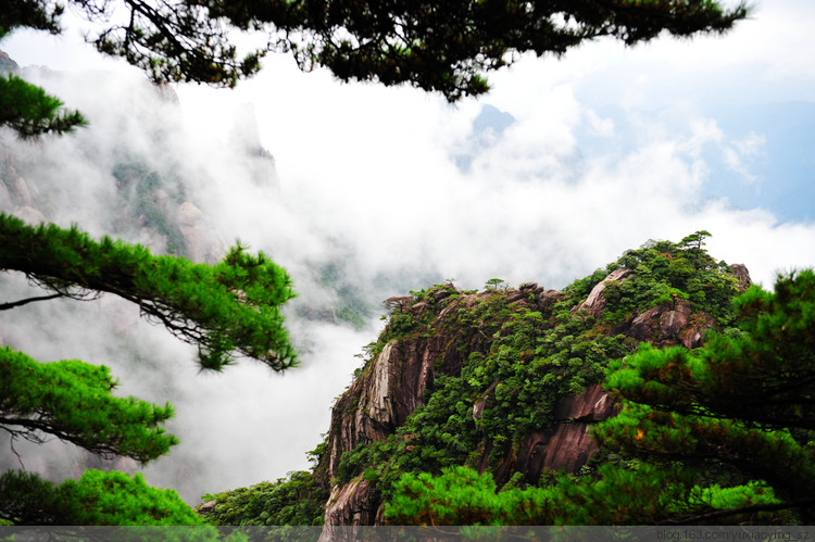 【忘记带宝宝的长假旅行】三清山景色，可与黄山媲美 - 小鱼滋味 - 小鱼滋味