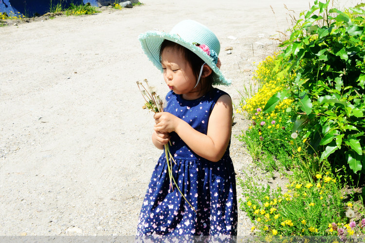 【走进加拿大的冰冻の 夏】 从戈尔登到索伦托，边走边玩 - 小鱼滋味 - 小鱼滋味