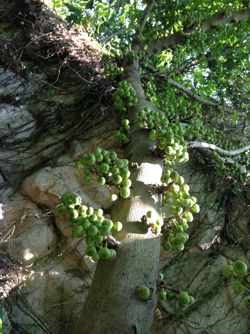 香港 · 湿地公园 - 小鱼滋味 - 小鱼滋味