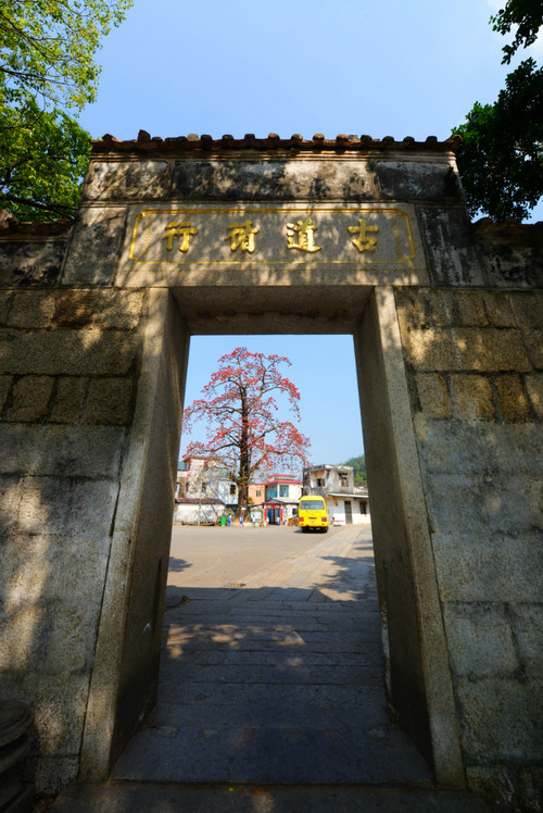 【广东】中山 · 三乡镇一日游 - 小鱼滋味 - 小鱼滋味