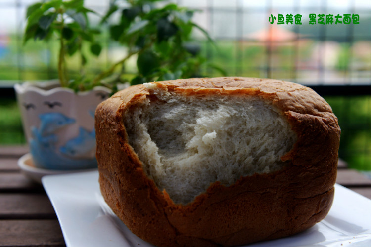 【小鱼美食】 黑芝麻大面包 - 小鱼滋味 - 小鱼滋味 【小鱼美食】 黑芝麻大面包 - 小鱼滋味 - 小鱼滋味