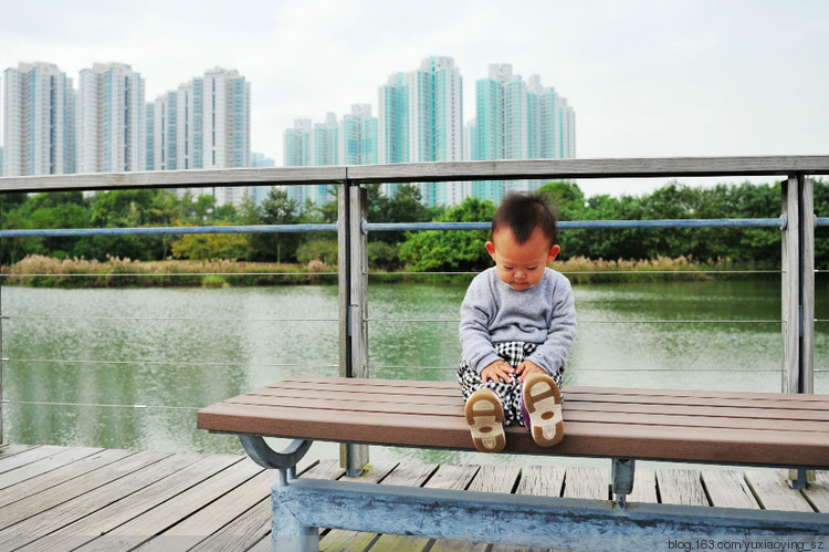 香港湿地公园 - 小鱼滋味 - 小鱼滋味