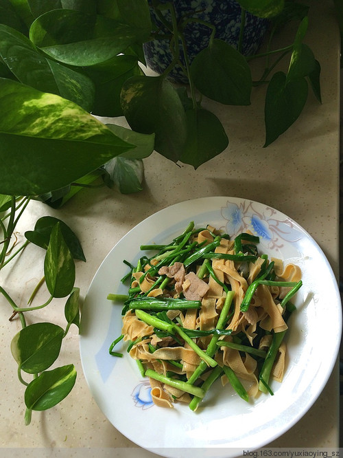 【小鱼美食】 自己种蒜苗自己炒——蒜苗炒干豆腐 - 小鱼滋味 - 小鱼滋味