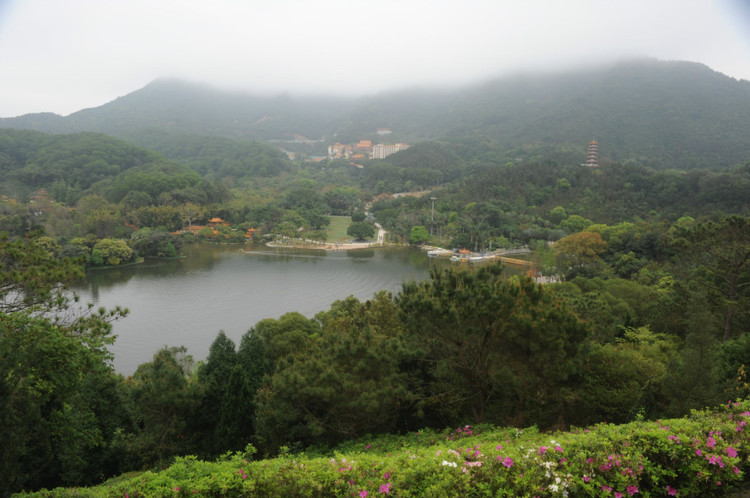 三月的深圳·仙湖植物园 - 小鱼滋味 - 小鱼滋味